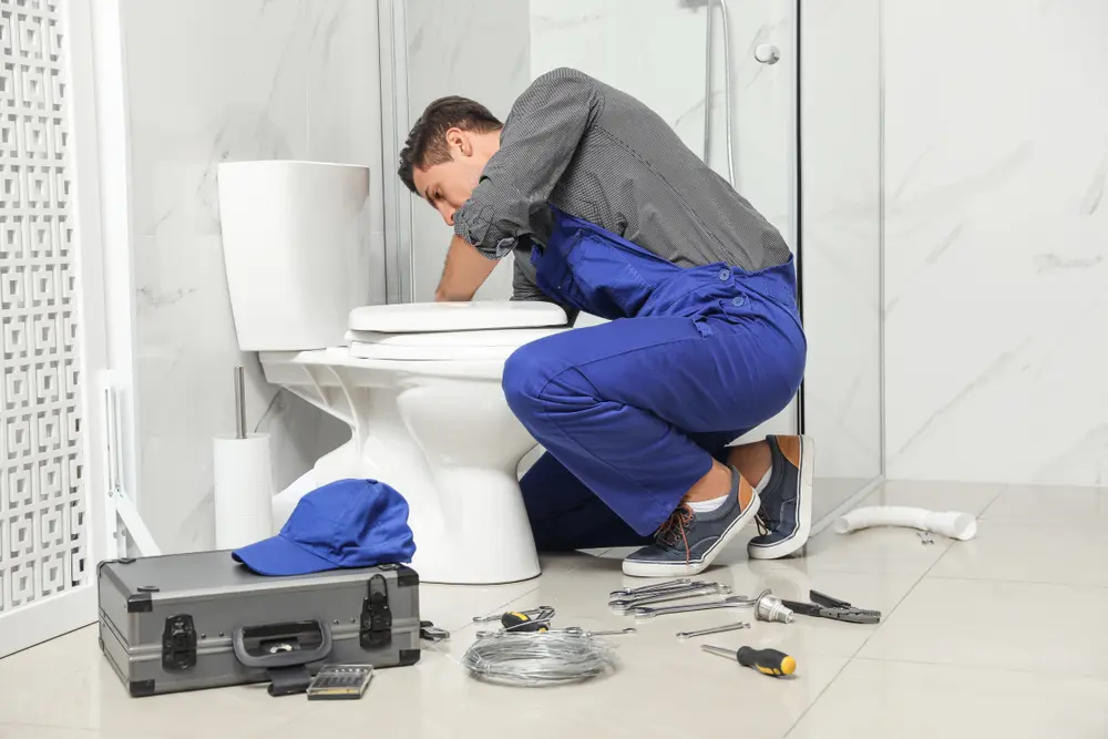 Toilet Repair in Delta